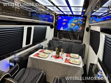 2026 Road Jet Limousine 9 Passenger with Removable Bathroom Auto Elite Mercedes-Benz Sprinter - Sprinter for Sale in Elkhart, IN - Photo 58