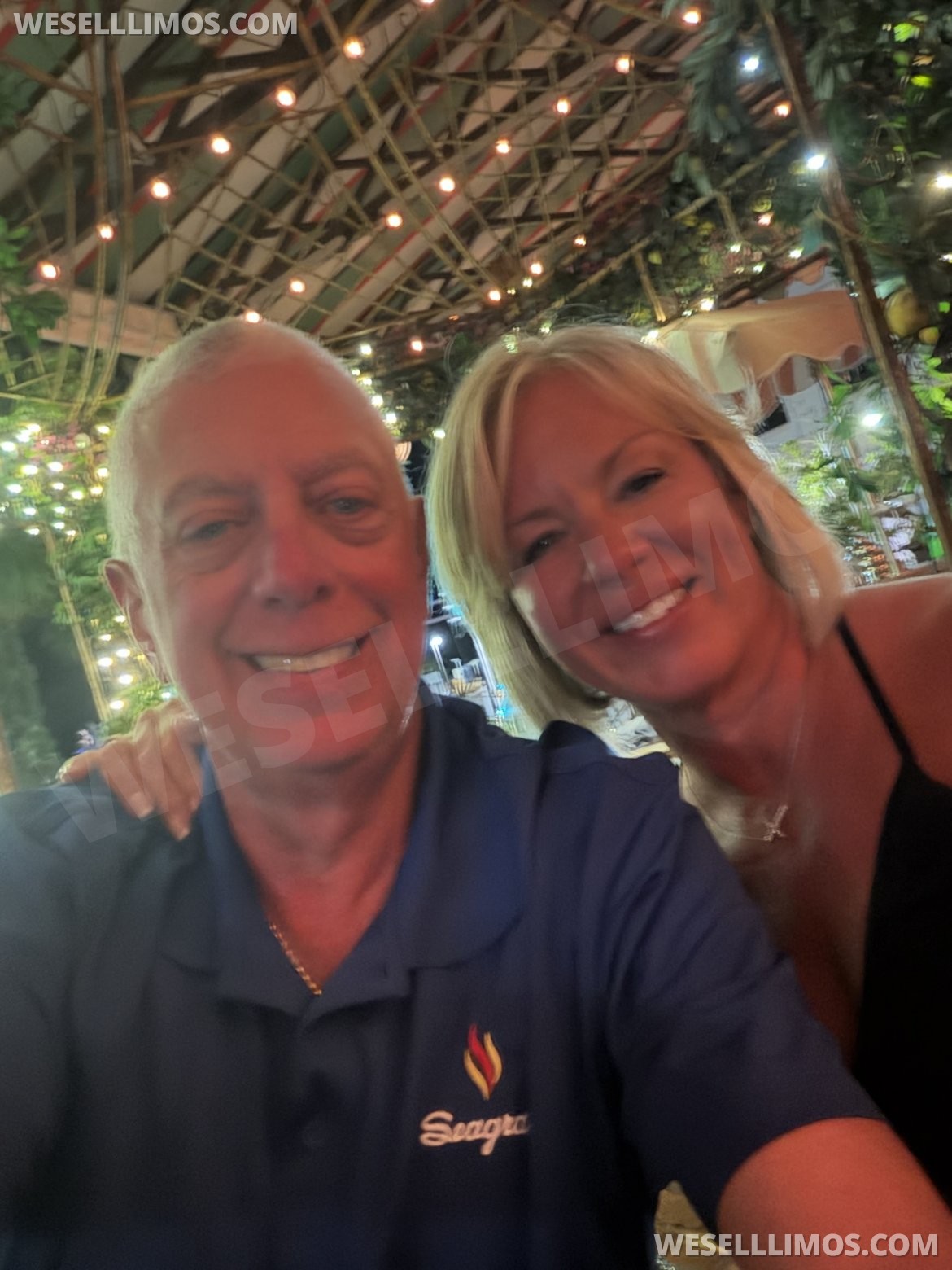 Photo of Limo Bus for sale: 2016 Mercedes-Benz Sprinter 170" by Executive Coach