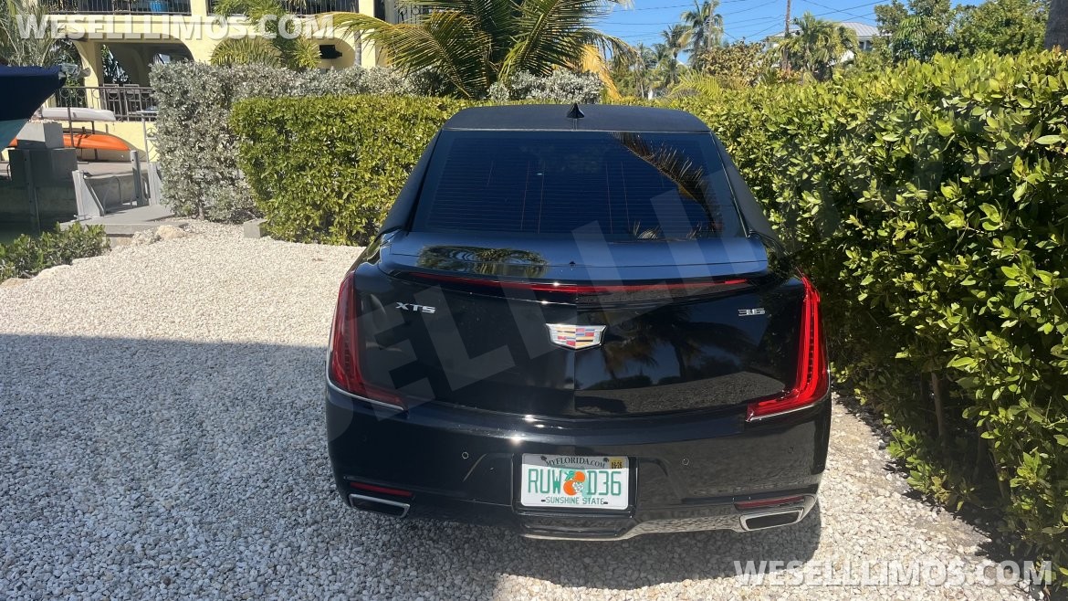 Photo of Limousine for sale: 2018 Cadillac XTS. 3.6 22" by Armbruster Stageway