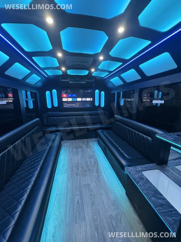 2018 Ford F-450 Limo Bus for Sale in FRASER, MI - Main Photo