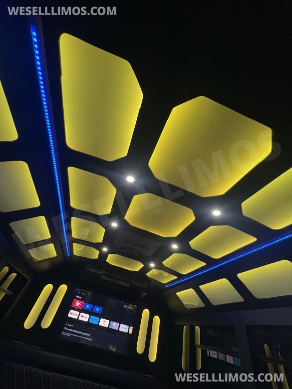 2018 Ford F-450 Limo Bus for Sale in FRASER, MI - Photo 3