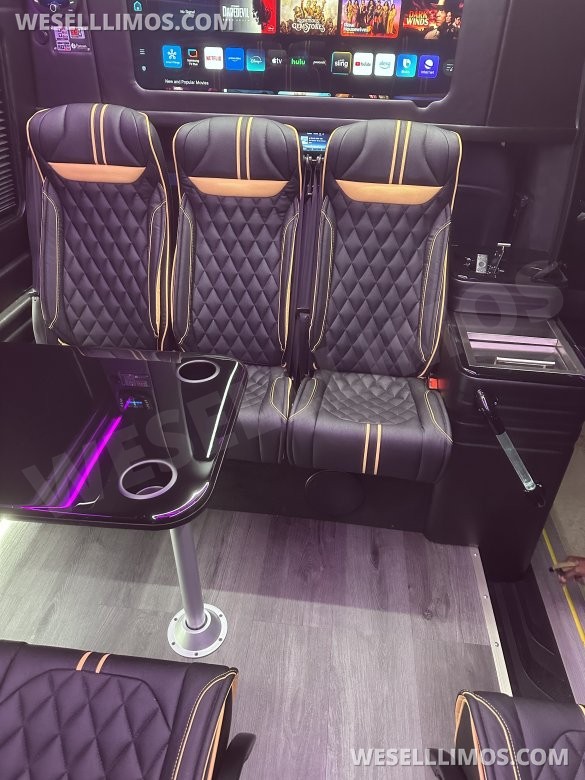 2025 Mercedes-Benz VIP Luxury Shuttle Executive Shuttle for Sale in Atlanta, GA - Main Photo