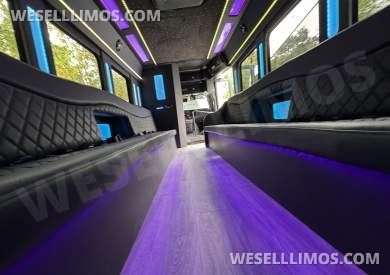 2020 Executive Chevrolet E455 Limo Bus - Limo Bus for Sale in Los Angeles, CA - Photo 9
