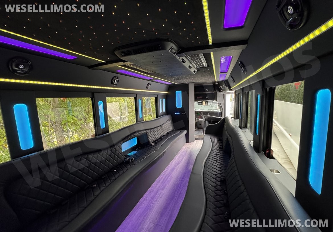 Photo of Limo Bus for sale: 2020 Chevrolet E455 24" by Executive