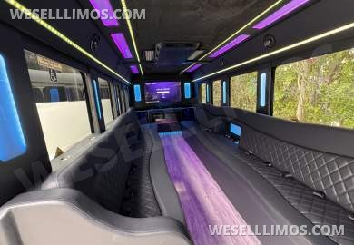 2020 Executive Chevrolet E455 Limo Bus - Limo Bus for Sale in Los Angeles, CA - Photo 17