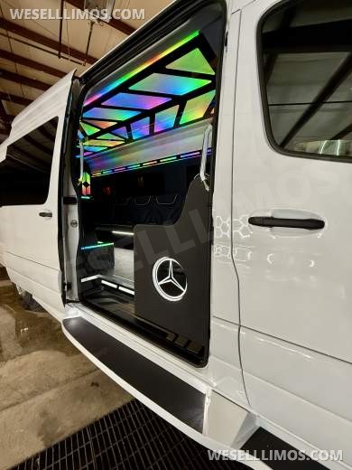 12 Passenger Limousine with luggage Mercedes-Benz Sprinter