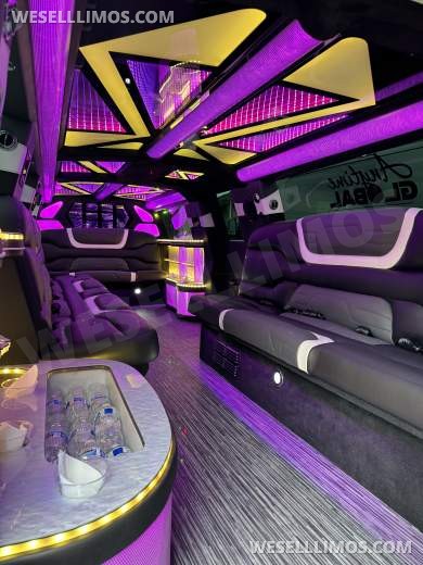 2023 LimosbyMoonlight Cadillac Escalade SUV Stretch - SUV Stretch for Sale in Sun valley, CA - Photo 8