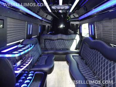 2022 Platinum Big Toys Mercedes-Benz Sprinter 3500 Limo - Sprinter for Sale in Delray Beach, FL - Photo 10