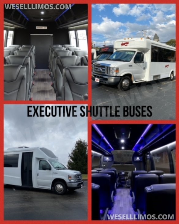 2019 Ford E350 Executive Shuttle for Sale in Washington, PA - Photo 3