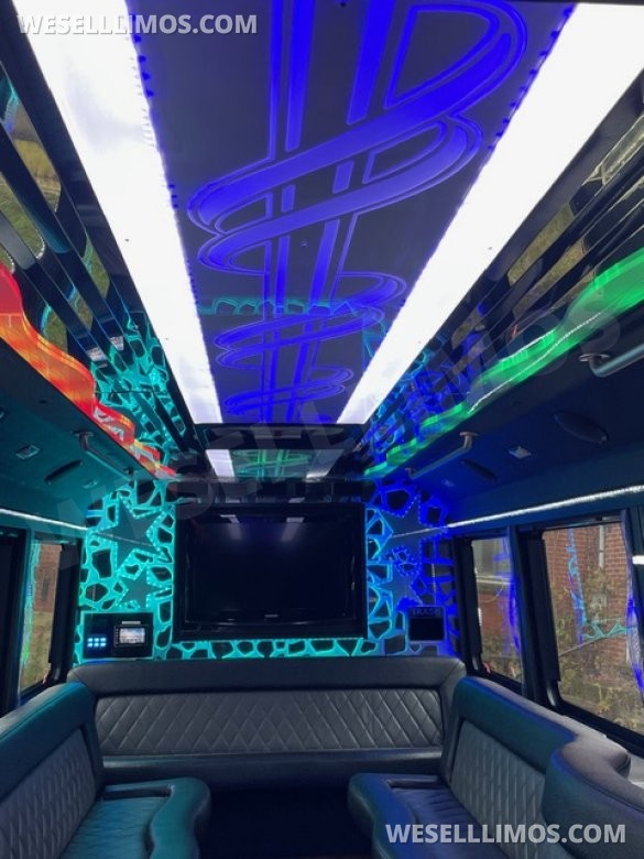 2013 Ford E450 Limo Bus for Sale in Washington, PA - Photo 3