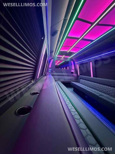 2026 LGE Coachworks Ford Limo Bus/Party Bus E450 Limo Bus - Limo Bus for Sale in North East, PA - Photo 3
