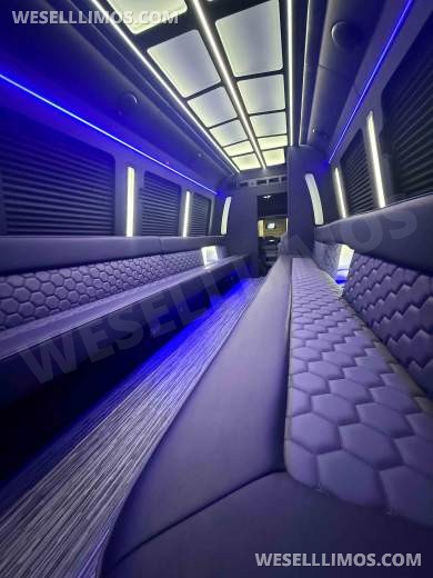 2026 LGE Coachworks Ford Limo Bus/Party Bus E450 Limo Bus - Limo Bus for Sale in North East, PA - Photo 12