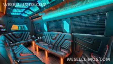 2023 Pinnacle Mercedes-Benz Sprinter 3500 Limo Bus - Limo Bus for Sale in Sterling, VA - Photo 4
