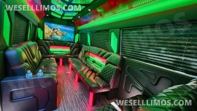 2023 Pinnacle Mercedes-Benz Sprinter 3500 Limo Bus - Limo Bus for Sale in Sterling, VA - Photo 5