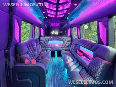 2023 Pinnacle Mercedes-Benz Sprinter 3500 Limo Bus - Limo Bus for Sale in Sterling, VA - Photo 7