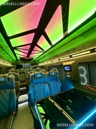 2026 LimoLand Mercedes-Benz Sprinter Executive Shuttle - Executive Shuttle for Sale in Springfield, MO - Photo 5