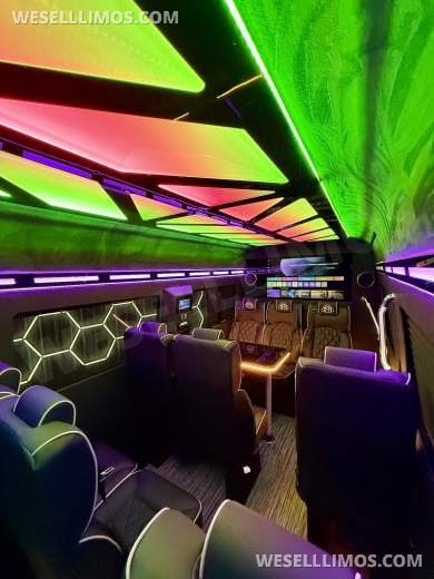 2026 LimoLand Mercedes-Benz Sprinter Executive Shuttle - Executive Shuttle for Sale in Springfield, MO - Photo 6