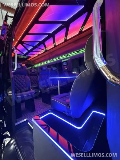 2026 LimoLand Mercedes-Benz Sprinter Executive Shuttle - Executive Shuttle for Sale in Springfield, MO - Photo 8