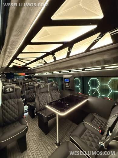 2026 LimoLand Mercedes-Benz Sprinter Executive Shuttle - Executive Shuttle for Sale in Springfield, MO - Photo 9