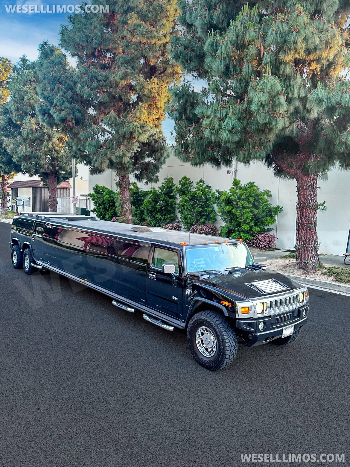 Limousine for sale: 2004 Hummer H2