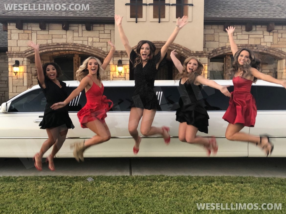 Photo of Limousine for sale: 2007 Lincoln Town car 120" by executive coach