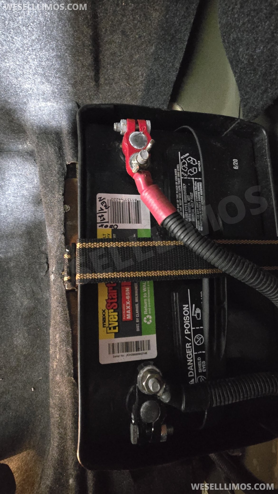 Photo of Limousine for sale: 2008 Lincoln Town Car 120" by Executive Coach Builders