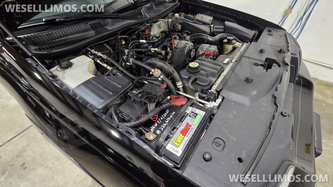 Photo of Limousine for sale: 2008 Lincoln Town Car 120" by Executive Coach Builders