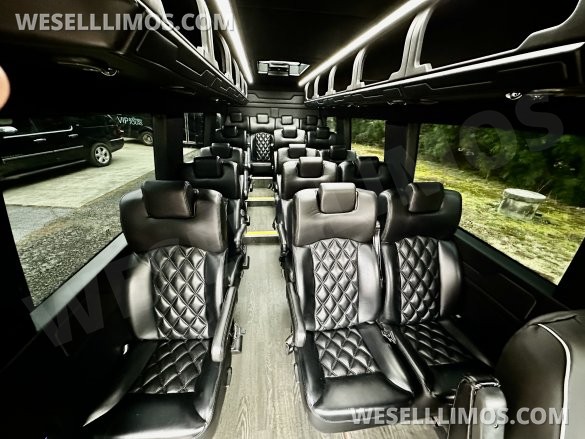 2016 Mercedes-Benz 3500 Sprinter for Sale in Helen, GA - Photo 3