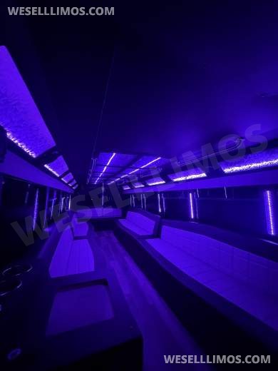 2013 Ford F-550 Limo Bus - Limo Bus for Sale in houston, TX - Photo 6