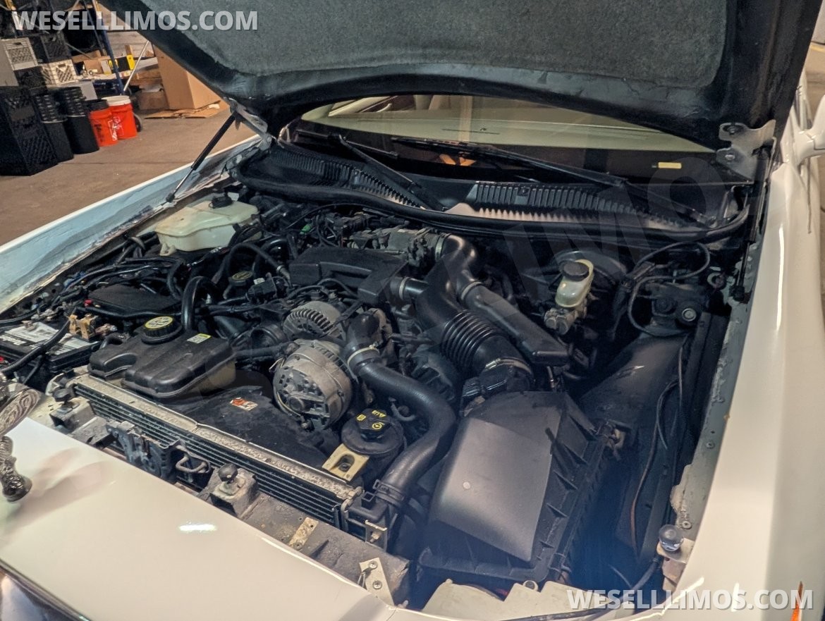 Photo of Limousine for sale: 2003 Lincoln Towncar