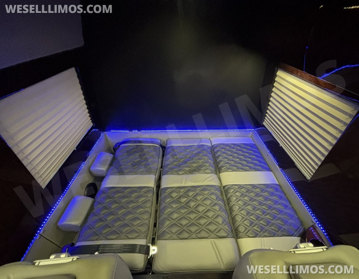 Photo of Sprinter for sale: 2014 Mercedes-Benz Sprinter 3500 Daycruiser 170" by Level Up Customs