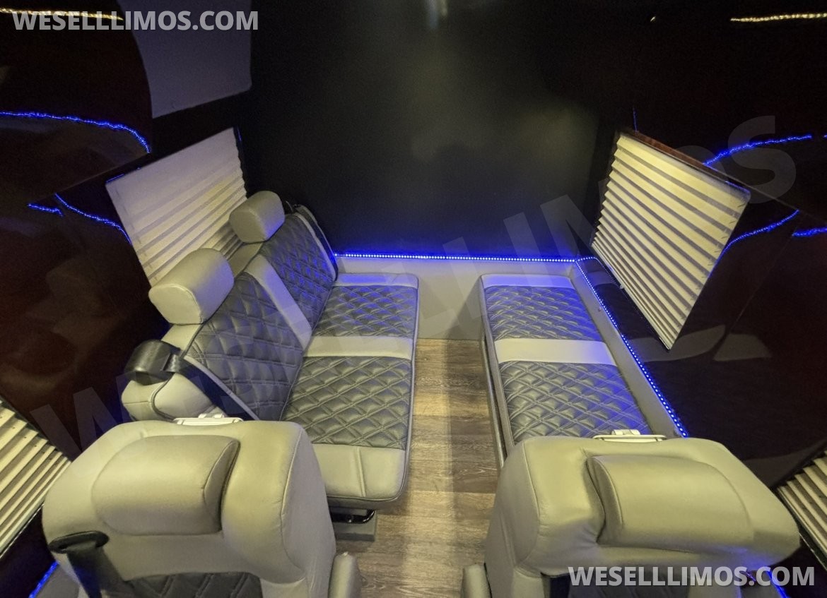 Photo of Sprinter for sale: 2014 Mercedes-Benz Sprinter 3500 Daycruiser 170" by Level Up Customs