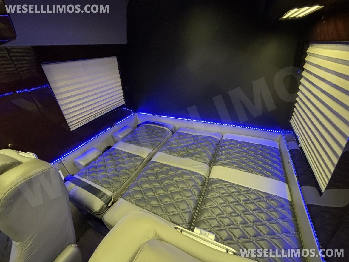 Photo of Sprinter for sale: 2014 Mercedes-Benz Sprinter 3500 Daycruiser 170" by Level Up Customs