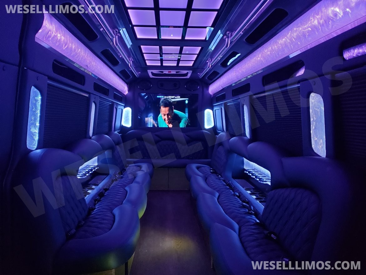 Photo of Sprinter for sale: 2019 Freightliner 4500 310" by Pinnacle Limousine Manufacturing