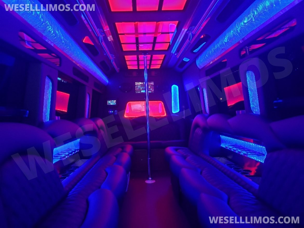 Photo of Sprinter for sale: 2019 Freightliner 4500 310" by Pinnacle Limousine Manufacturing