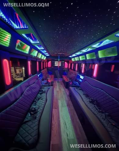 2020 Brand New Freightliner S2 Limo Bus - Limo Bus for Sale in LA, CA - Photo 17