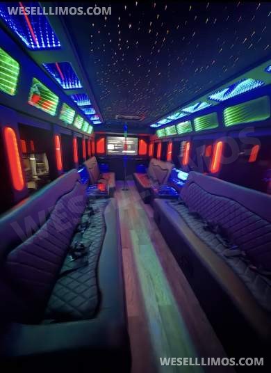 2020 Brand New Freightliner S2 Limo Bus - Limo Bus for Sale in LA, CA - Photo 18