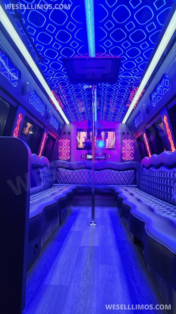 2016 Ford E450 Limo Bus for Sale in Orlando, FL - Photo 2