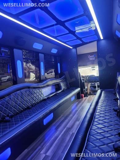 2014 Ford e450 Limo Bus - Limo Bus for Sale in pepper Pike, OH - Photo 3