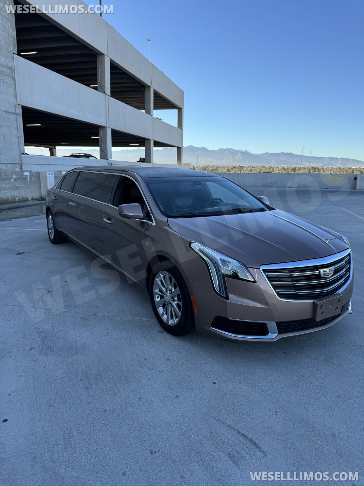 Photo of Limousine for sale: 2018 Cadillac XTS by Royal Coach Builder