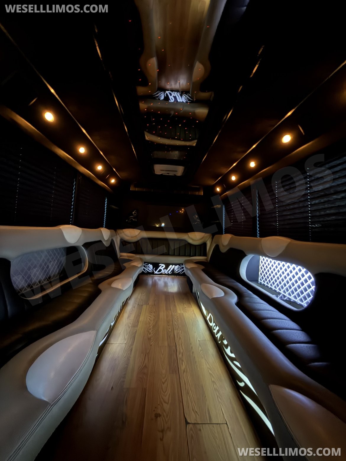 Photo of Limo Bus for sale: 2006 Ford E-450 by Executive Coach Builder