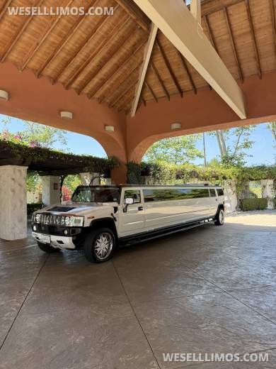 2005 Hummer H-2 Limousine - Limousine for Sale in Granada Hills, CA - Photo 11