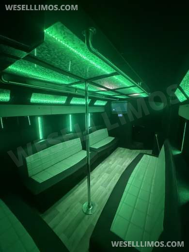 2019 Ford E-450 Limo Bus - Limo Bus for Sale in houston, TX - Photo 7