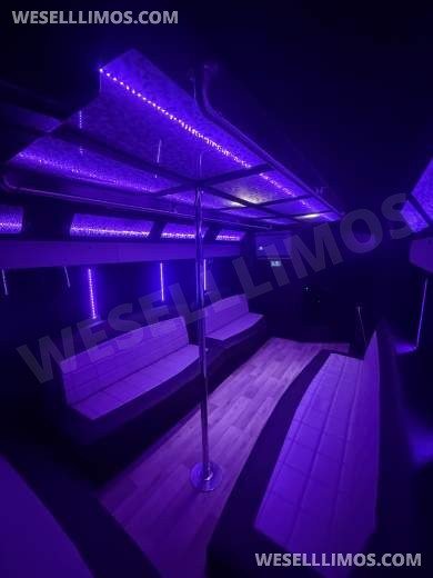 2019 Ford E-450 Limo Bus - Limo Bus for Sale in houston, TX - Photo 8