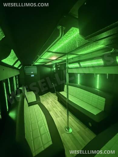 2019 Ford E-450 Limo Bus - Limo Bus for Sale in houston, TX - Photo 9