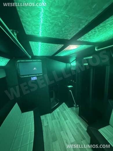 2019 Ford E-450 Limo Bus - Limo Bus for Sale in houston, TX - Photo 12