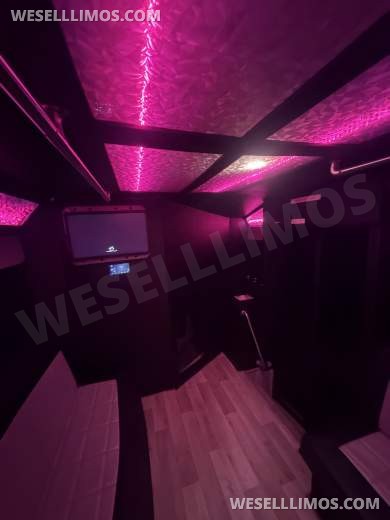 2019 Ford E-450 Limo Bus - Limo Bus for Sale in houston, TX - Photo 13