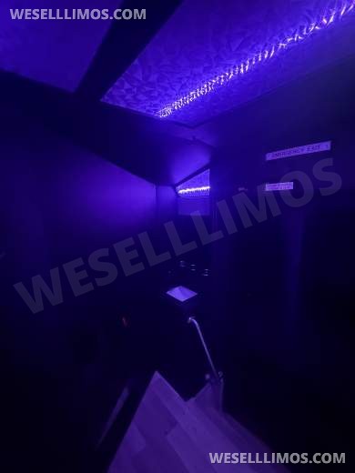 2019 Ford E-450 Limo Bus - Limo Bus for Sale in houston, TX - Photo 15