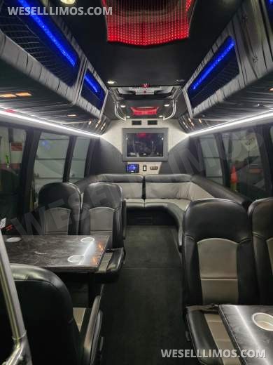 2011 Ameritrans Ford E450 Limo Bus - Limo Bus for Sale in Erie, PA - Photo 9
