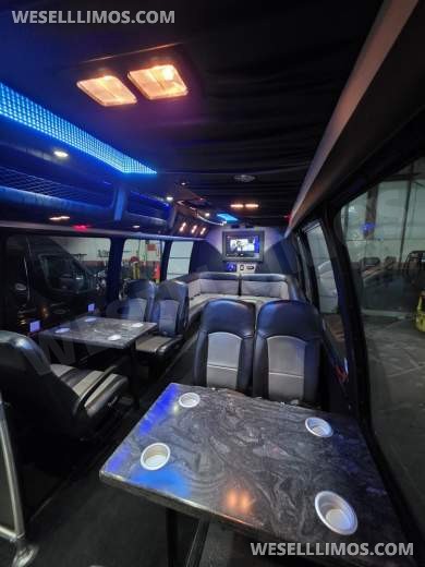 2011 Ameritrans Ford E450 Limo Bus - Limo Bus for Sale in Erie, PA - Photo 14